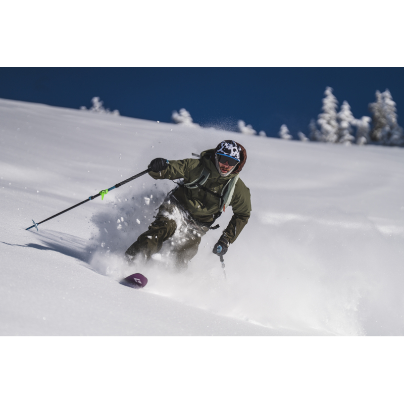 Expedition Ski Poles – Black Diamond